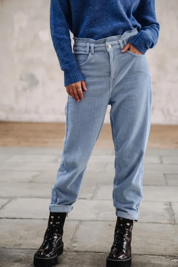 Freeman T. Porter Pantalons ColoréS | Taille Haute*Lara Veluto