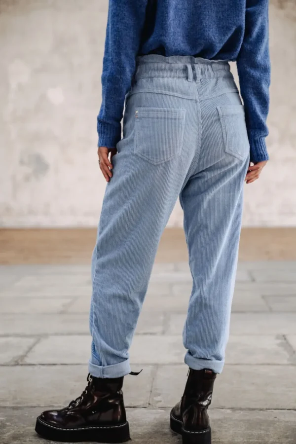 Freeman T. Porter Pantalons ColoréS | Taille Haute*Lara Veluto
