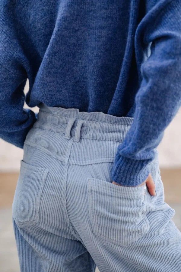 Freeman T. Porter Pantalons ColoréS | Taille Haute*Lara Veluto