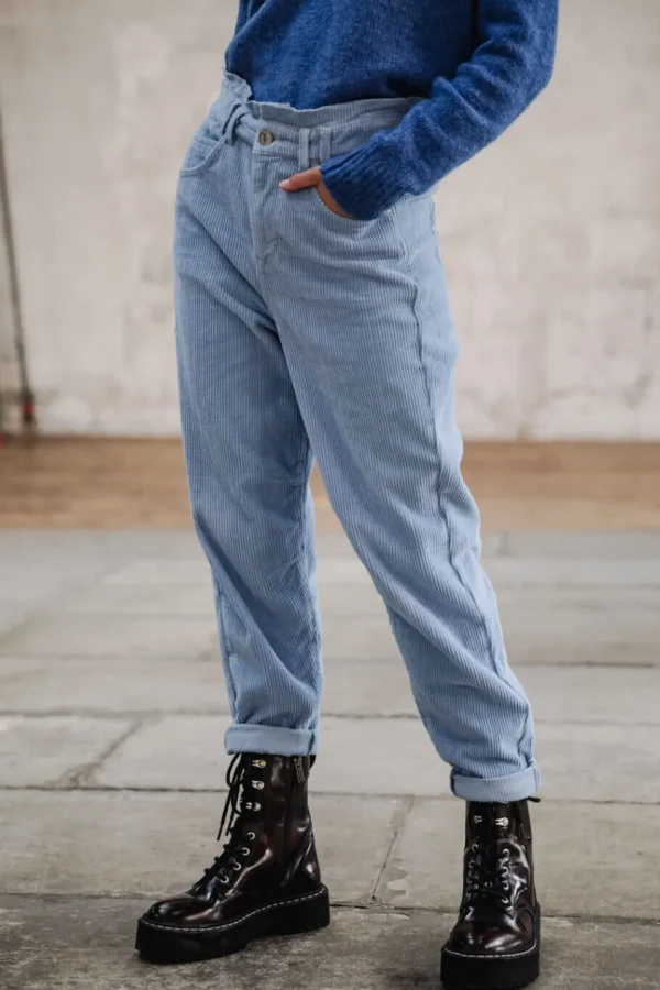 Freeman T. Porter Pantalons ColoréS | Taille Haute*Lara Veluto